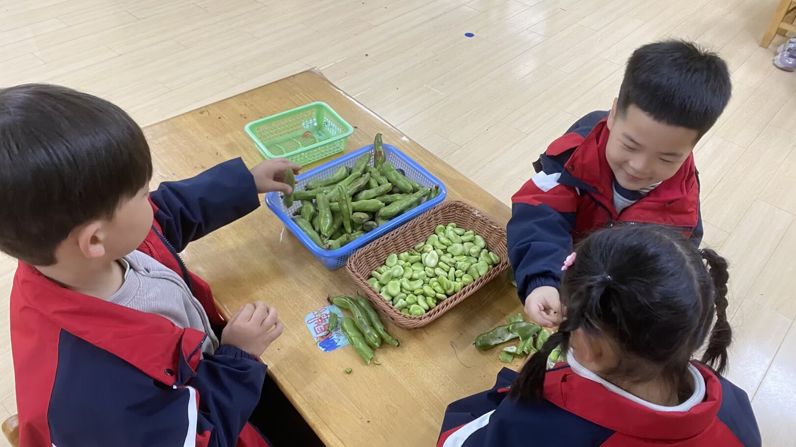 蚕豆的秘密 2.png